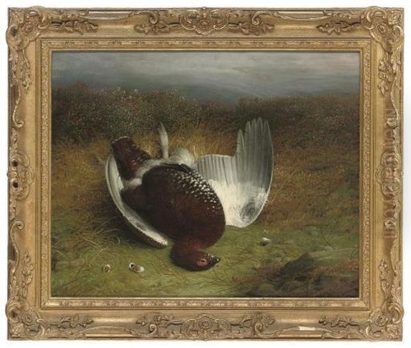 A Dead Grouse On A Moor Oil Painting by Abel Hold