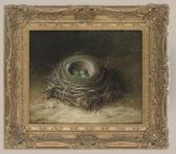 Bird's Nest With Four Eggs Oil Painting by Abel Hold