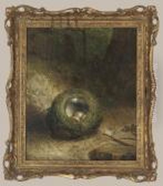 A Bird's Nest On A Mossy Bank Oil Painting by Abel Hold