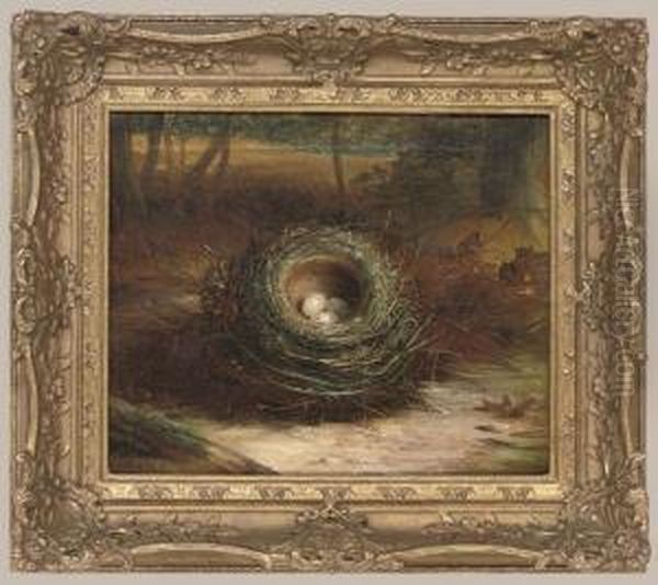 A Birds Nest In A Woodland Clearing Oil Painting by Abel Hold