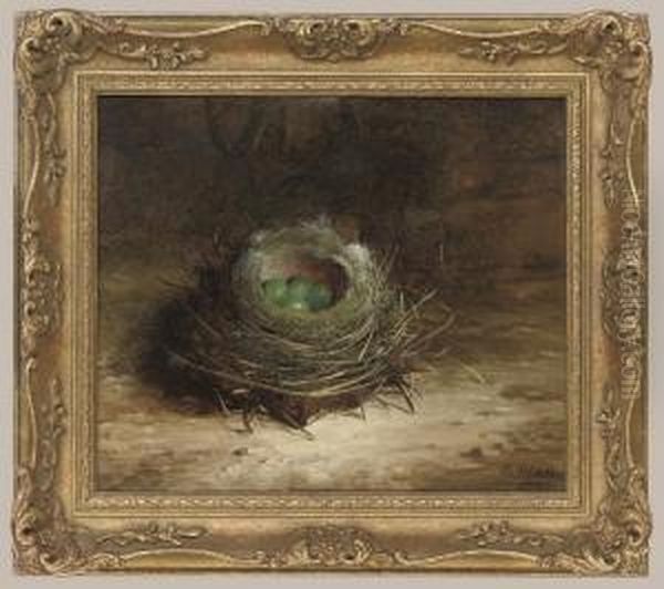 A Birds Nest On A Bank Oil Painting by Abel Hold