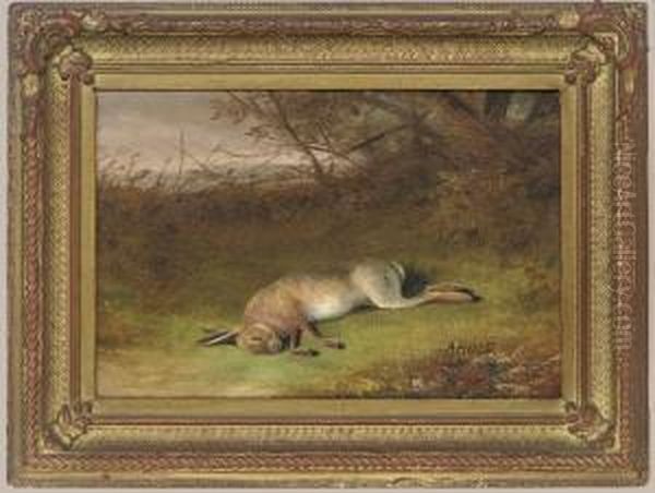 A Dead Hare Oil Painting by Abel Hold