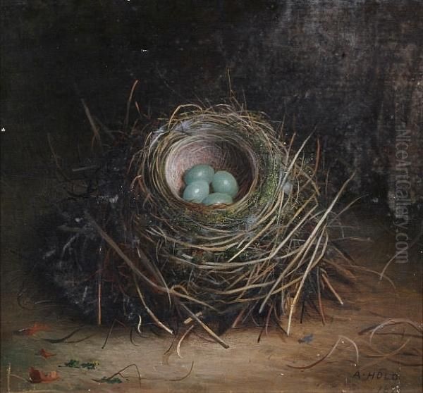 Bird's Nest With Blue Eggs; Bird's Nest With Speckled White Eggs Both 'a. Hold 1876' Oil Painting by Abel Hold