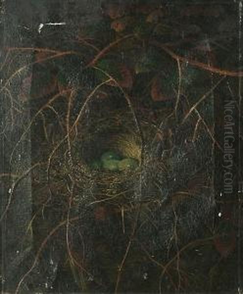 A Still Life Of A Birds Nest In A Hedgerow Oil Painting by Abel Hold