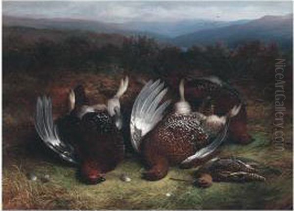 Cock Red Grouse And Snipe On The Moor Oil Painting by Abel Hold