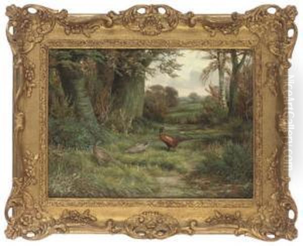 A Cock And Two Hen Pheasants In A Wooded Landscape Oil Painting by Benjamin, Ben Hold