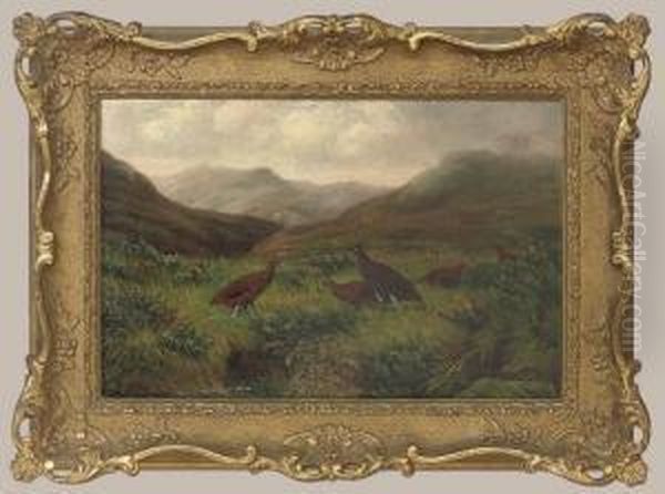 Grouse In A Misty Highland Landscape Oil Painting by Benjamin, Ben Hold