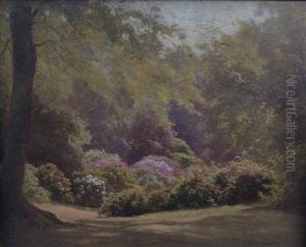 Rhododendrons In Richmond Park Oil Painting by Edward Henry Holder