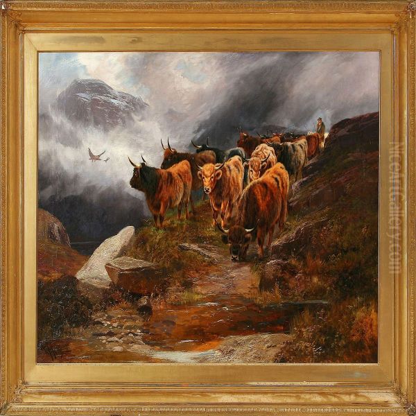 Cattle In Thescottish Highland Oil Painting by William Perring Hollyer