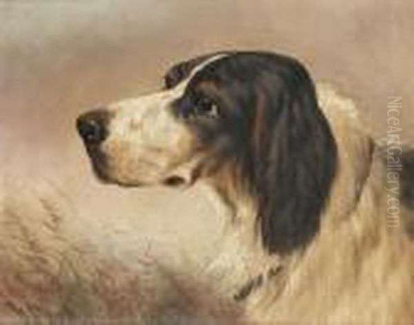 Cocker Spaniel; Gordon Setter Oil Painting by William Perring Hollyer