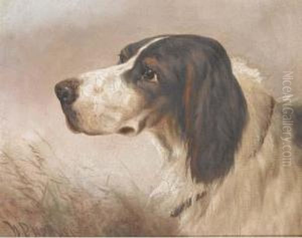 The Head Of Gundog Oil Painting by William Perring Hollyer