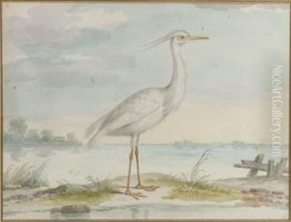 A White Heron Oil Painting by Pieter the Younger Holsteyn