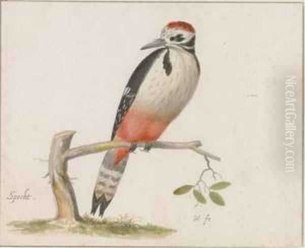 A Woodpecker Oil Painting by Pieter the Younger Holsteyn