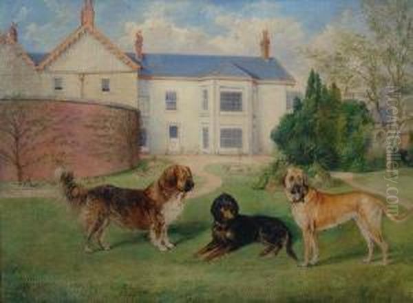 A Gordon Setter, A Mastiff And A St. Bernard. Oil Painting by Edwin Frederick Holt