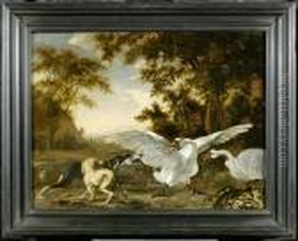 Two Swans Threatened By A Hunting Dog Oil Painting by Abraham Hondius