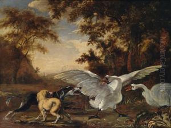 Due Cani Da Caccia Abbaiano A Due Cigni In Un Paesaggio Boschivo Oil Painting by Abraham Hondius