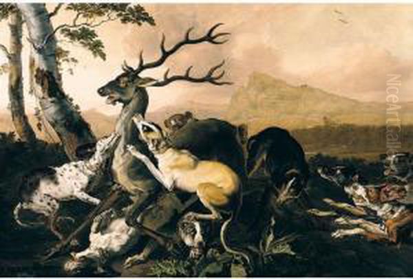 Hounds Attacking A Stag by Abraham Hondius