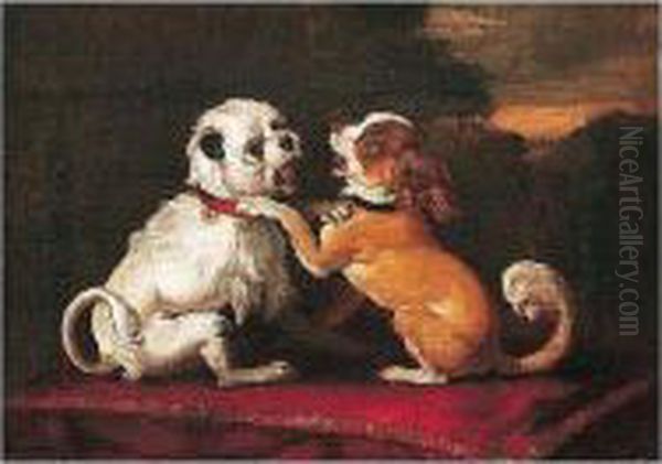 Two Dogs Playing On A Red Cushion Oil Painting by Abraham Hondius