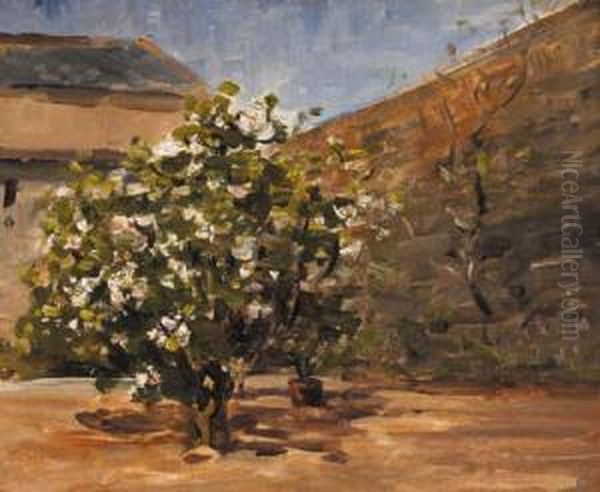 Rha Study: Tree In Courtyard Oil Painting by Nathaniel R.H.A. Hone Ii,