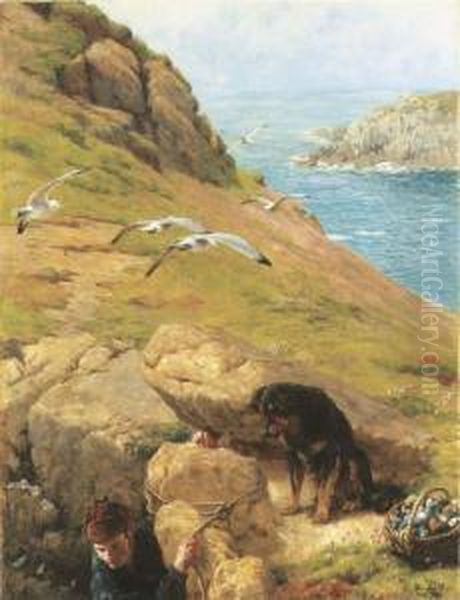 The Gull Catcher Oil Painting by James Clark Hook