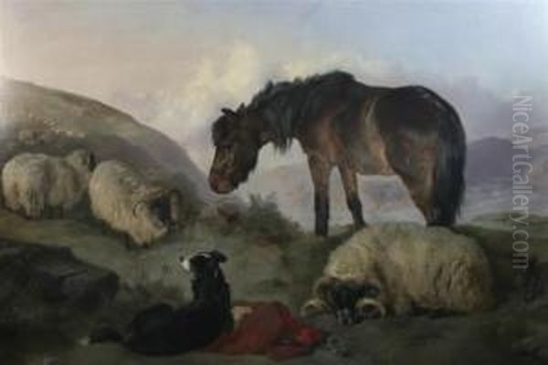 Highland Sheep No.3 Oil Painting by George W. Horlor