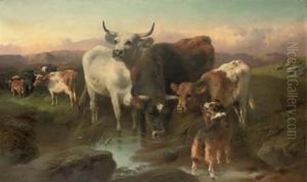 Cattle Watering At A Highland Stream Oil Painting by George W. Horlor