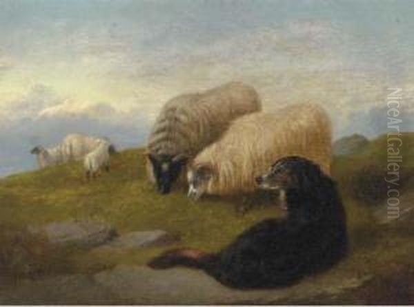 Sheepdogs Guarding The Flock Oil Painting by George W. Horlor