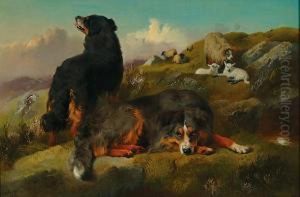 Bernese Mountain Dogs On Guard Over Their Flock Oil Painting by George W. Horlor