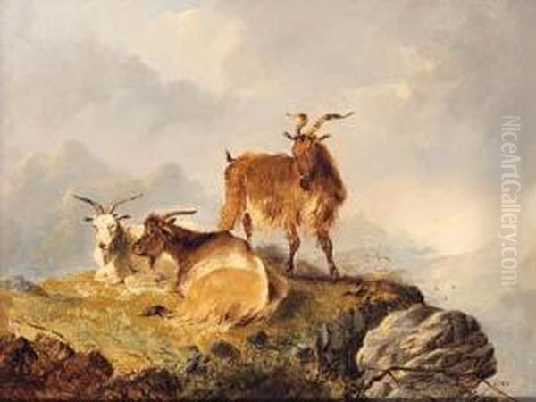 Goats Resting On A Hilltop Oil Painting by George W. Horlor