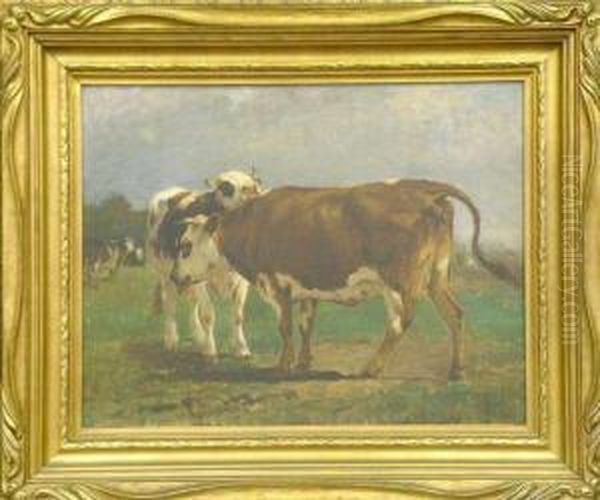 Cows In A Field Oil Painting by William Henry Howe