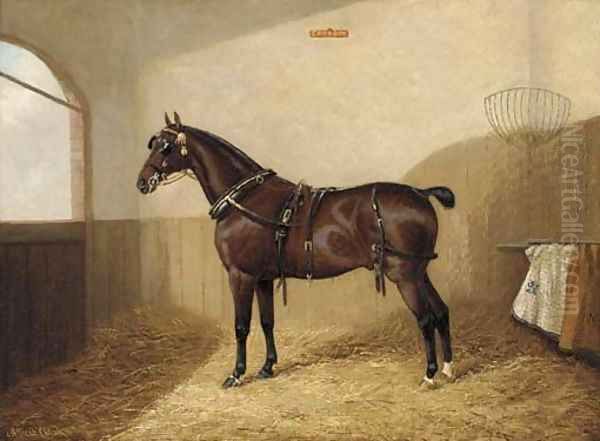 Goodboy, a harnessed liver chestnut in a stable Oil Painting by A. Clark