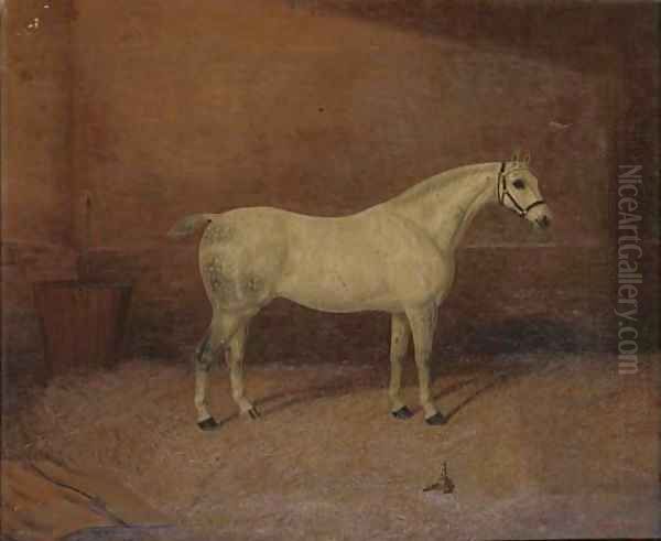 A dappled grey hunter in a stable Oil Painting by A. Clark