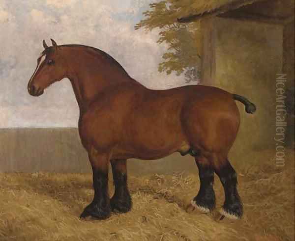 The shire stallion Oil Painting by A. Clark