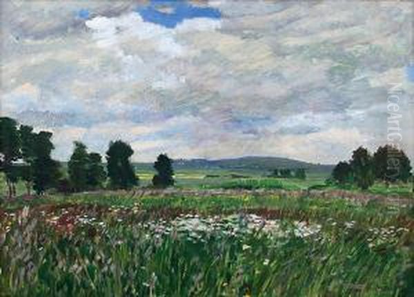 Meadow In Bloom Oil Painting by Antonin Hudecek