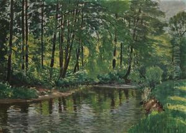 A Forest Brook Oil Painting by Antonin Hudecek