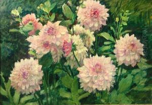 Pink Dahlias Oil Painting by Antonin Hudecek