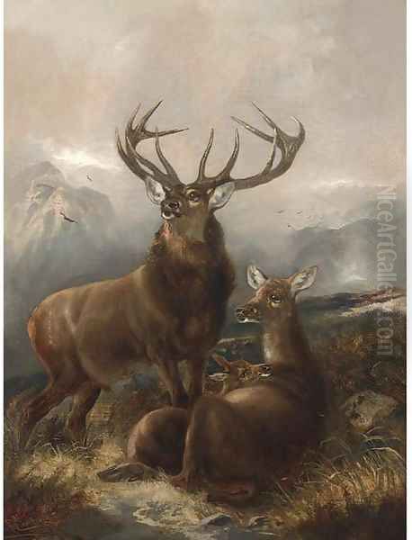 A stag with hinds Oil Painting by Robert Cleminson