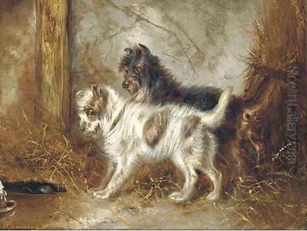 Mischevious terriers in a barn Oil Painting by Robert Cleminson