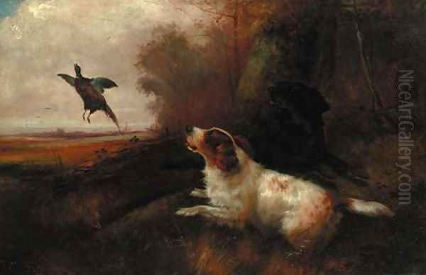 Spaniels putting up pheasant Oil Painting by Robert Cleminson