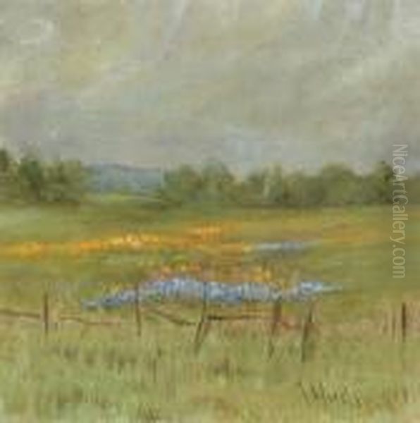 Poppy Scene In Potter Valley Oil Painting by Grace Carpenter Hudson