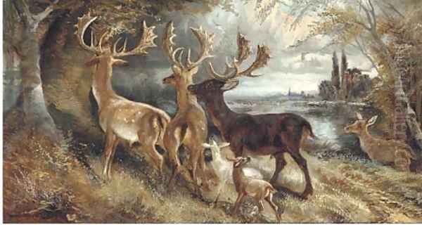 Stag's and hindes by a tree Oil Painting by Robert Cleminson