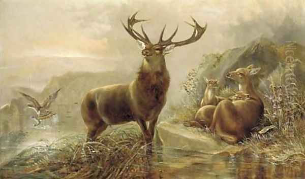 A stag with hinds by a loch Oil Painting by Robert Cleminson