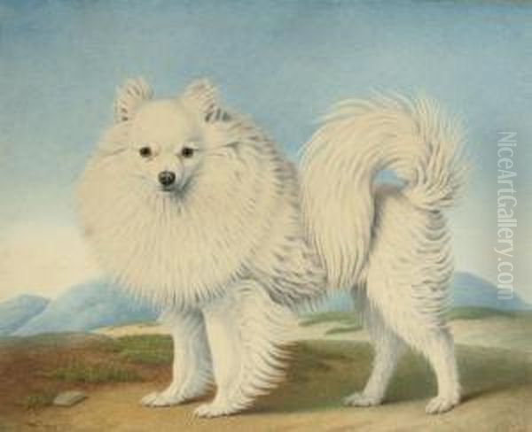 A Pomeranian Oil Painting by Nicolas Huet