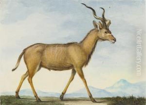 Une Antilope Vue De Profil Vers La Droite Dans Un Paysage Montagneux Oil Painting by Nicolas Huet