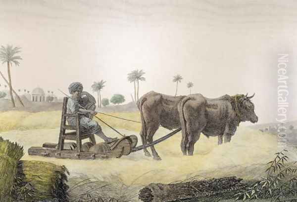 Harvesting Corn, from Volume II Arts and Trades of Description of Egypt 1822 Oil Painting by Nicolas Jacques Conte