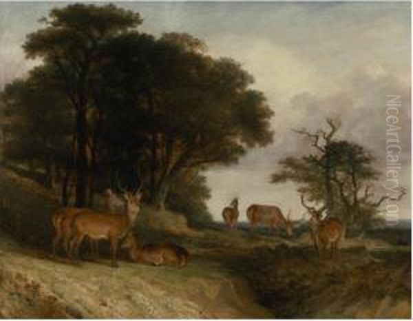 Deer At The Edge Of A Clearing At Sunset Oil Painting by William Huggins