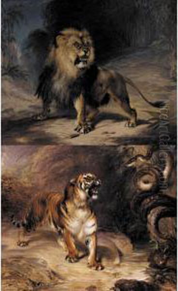 A Tiger And Serpent; And A Lion: A Pair Oil Painting by William Huggins