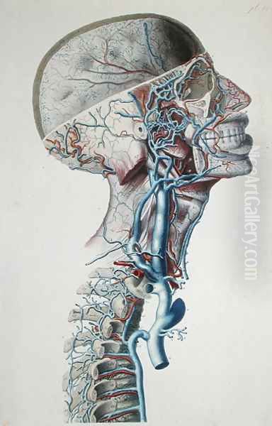 Veins and arteries in the head, plate from 'Recherches Anatomiques, Physiologiques, et Pathologiques sur le System Veineux', 1829 Oil Painting by Antoine Chazal