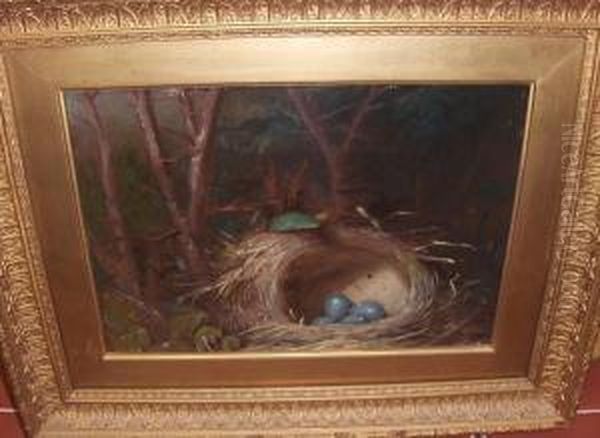 Still Life Of A Bird's Nest In Woodland Oil Painting by William Hughes