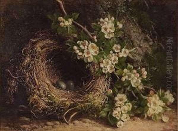 Still Life Of A Bird's Nest And Apple Blossom On A Mossy Bank, 1879 Oil Painting by William Hughes